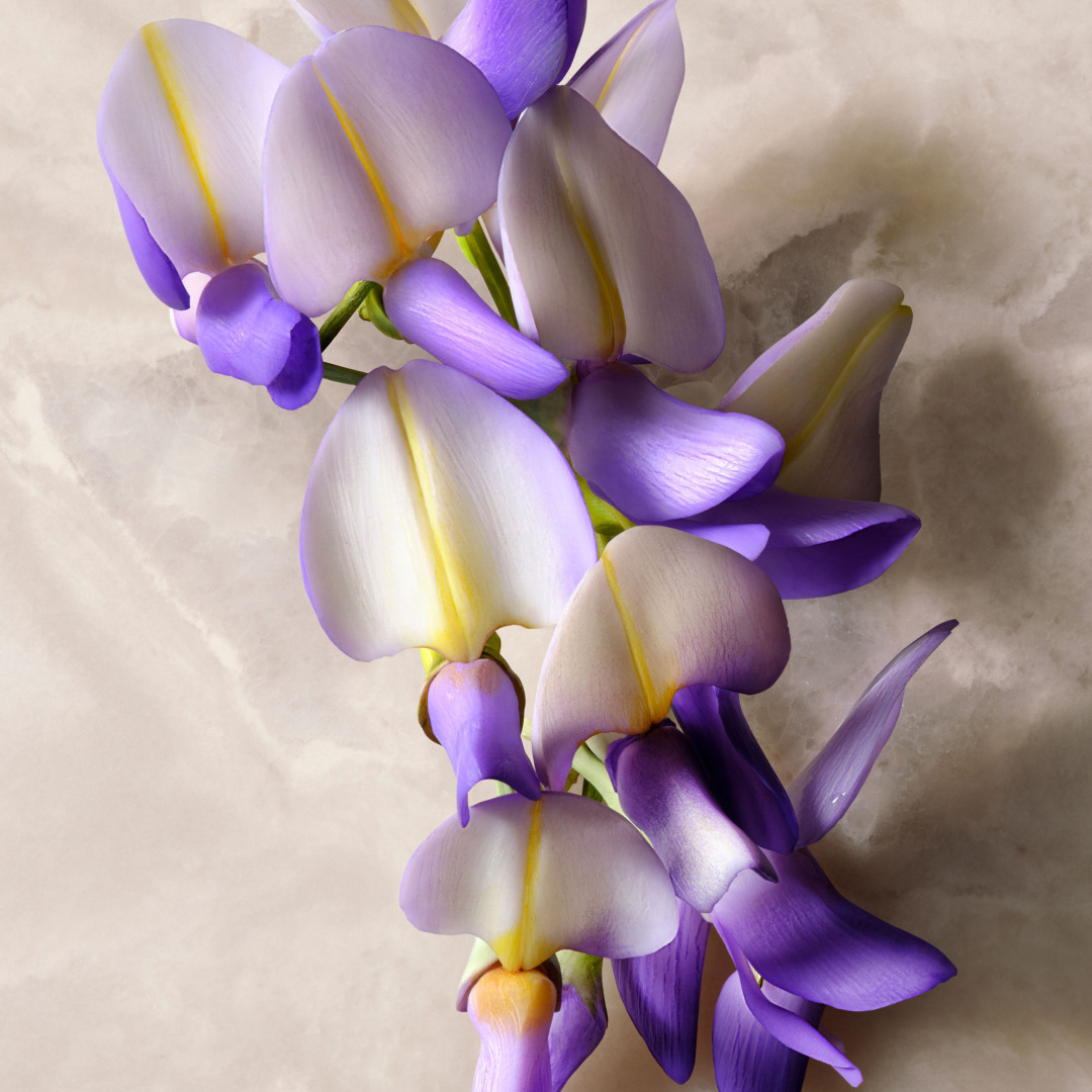 GUCCI GUILTY ABSOLU DE PARFUM FOR WOMEN 5