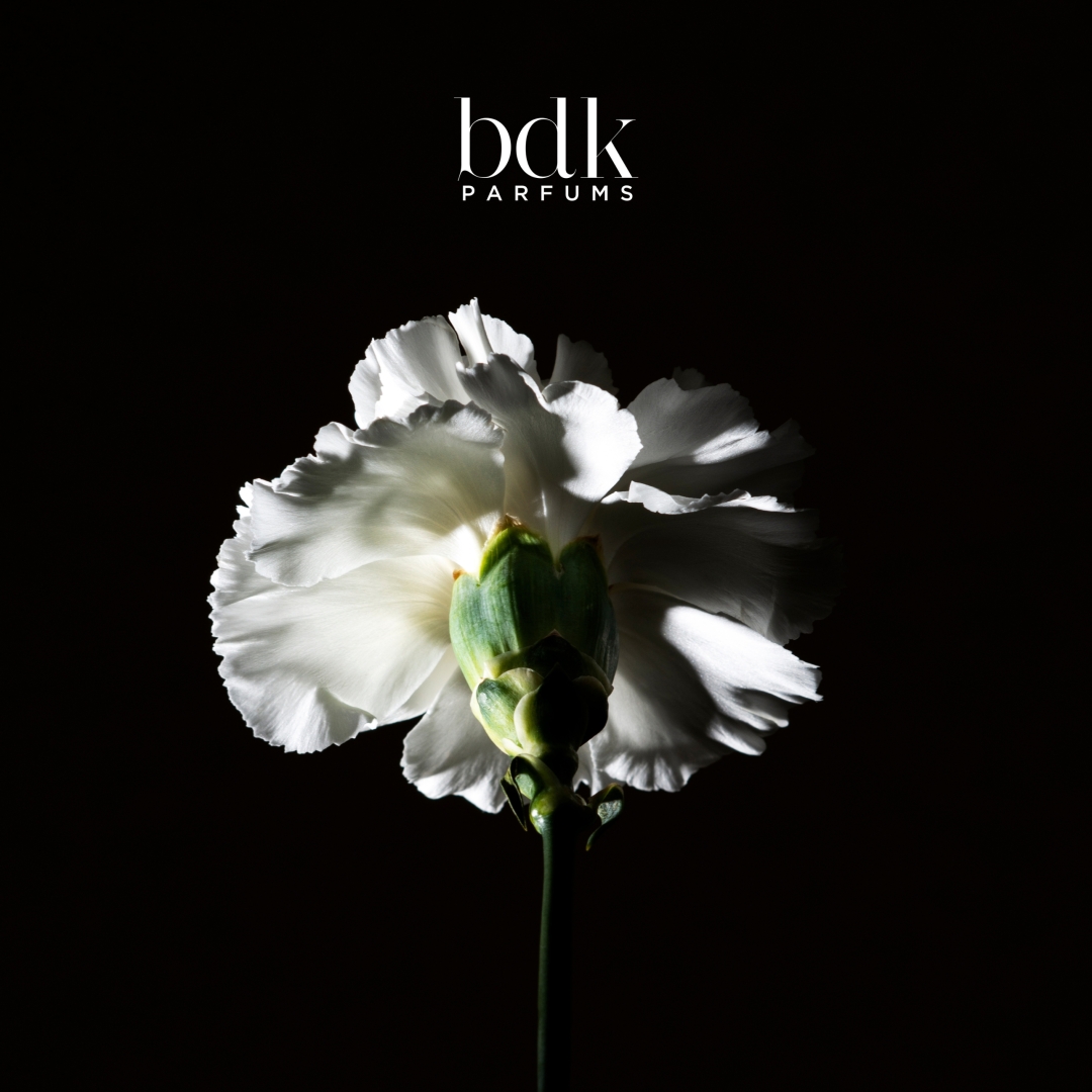 PAS CE SOIR EAU DE PARFUM 4