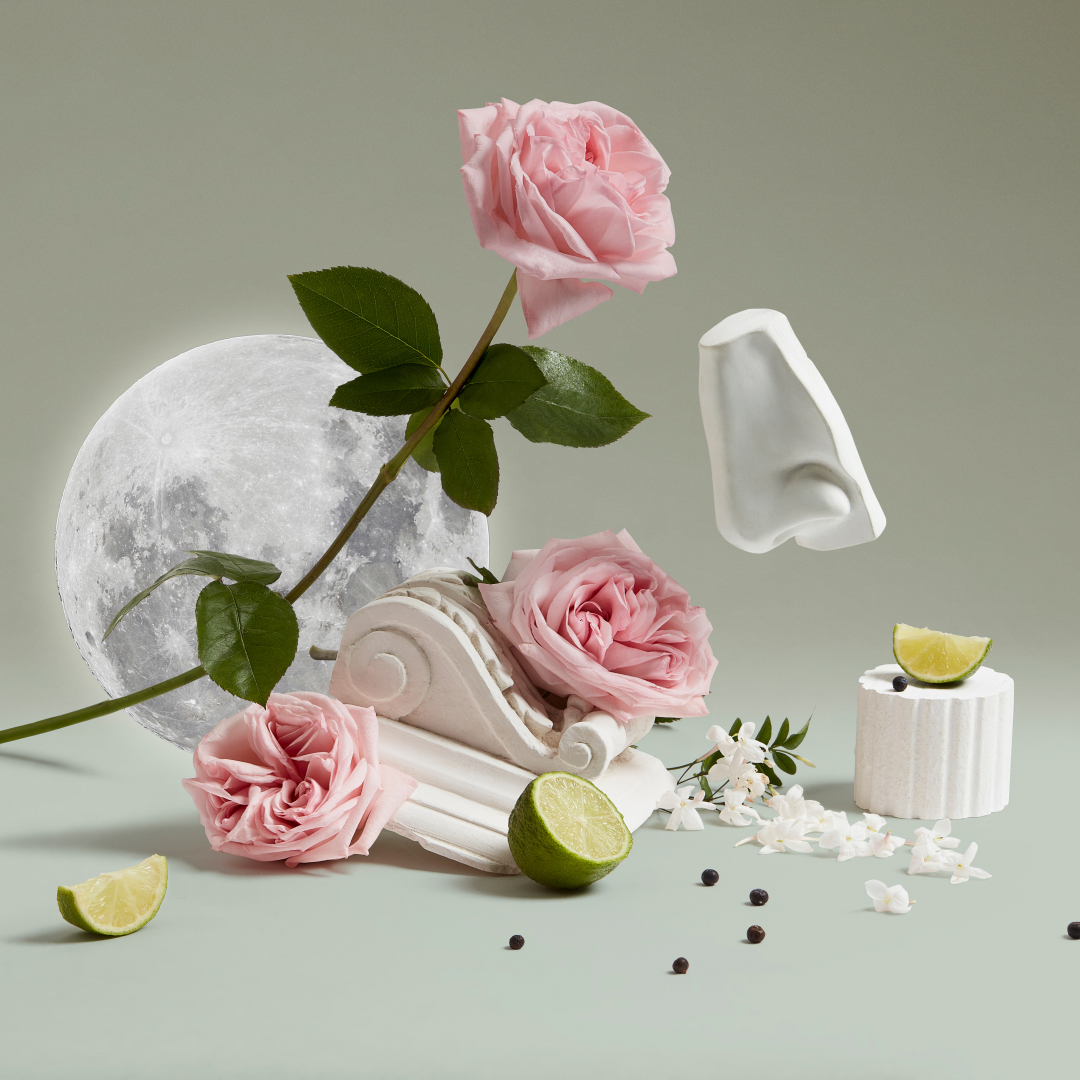 LUNA EAU DE TOILETTE 4