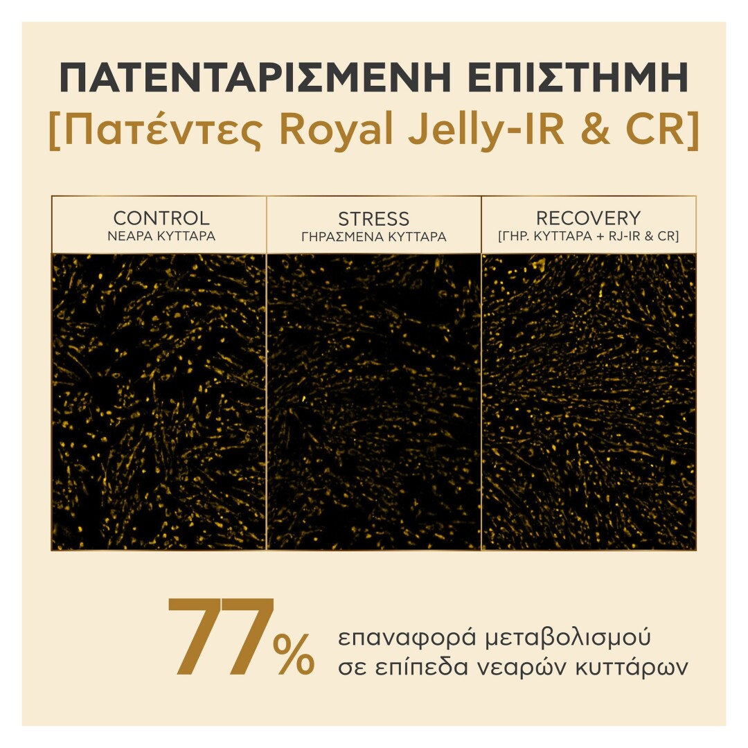 QUEEN BEE LONGEVITY 12 YEARS MARKERS SERUM 7