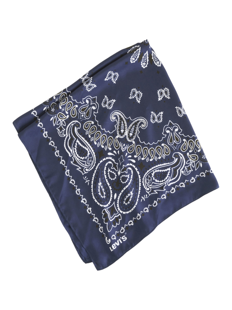 ΓΥΝΑΙΚΕΙΑ ΣΑΤΕΝ BANDANA 0