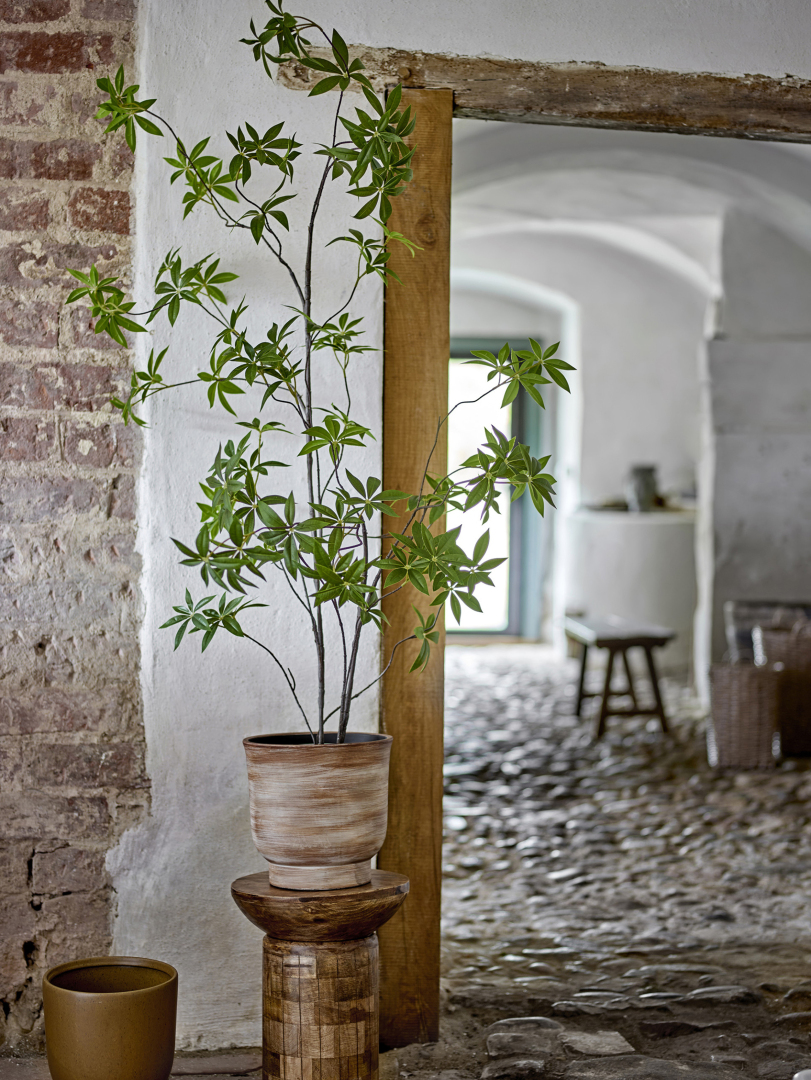 ΤΕΧΝΗΤΟ ΦΥΤΟ PALMATUM  1