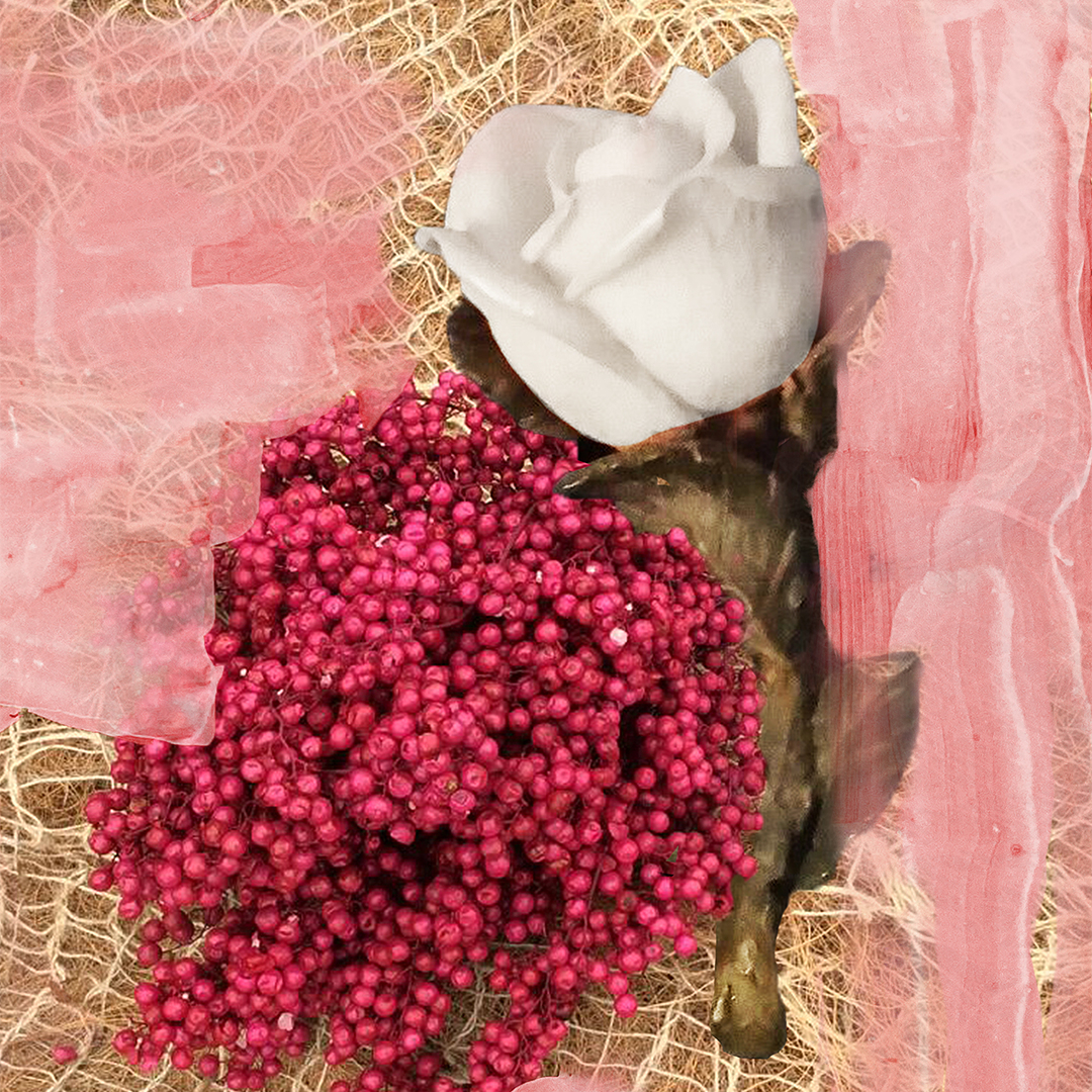 ROSE OF NO MAN'S LAND BODY WASH 2