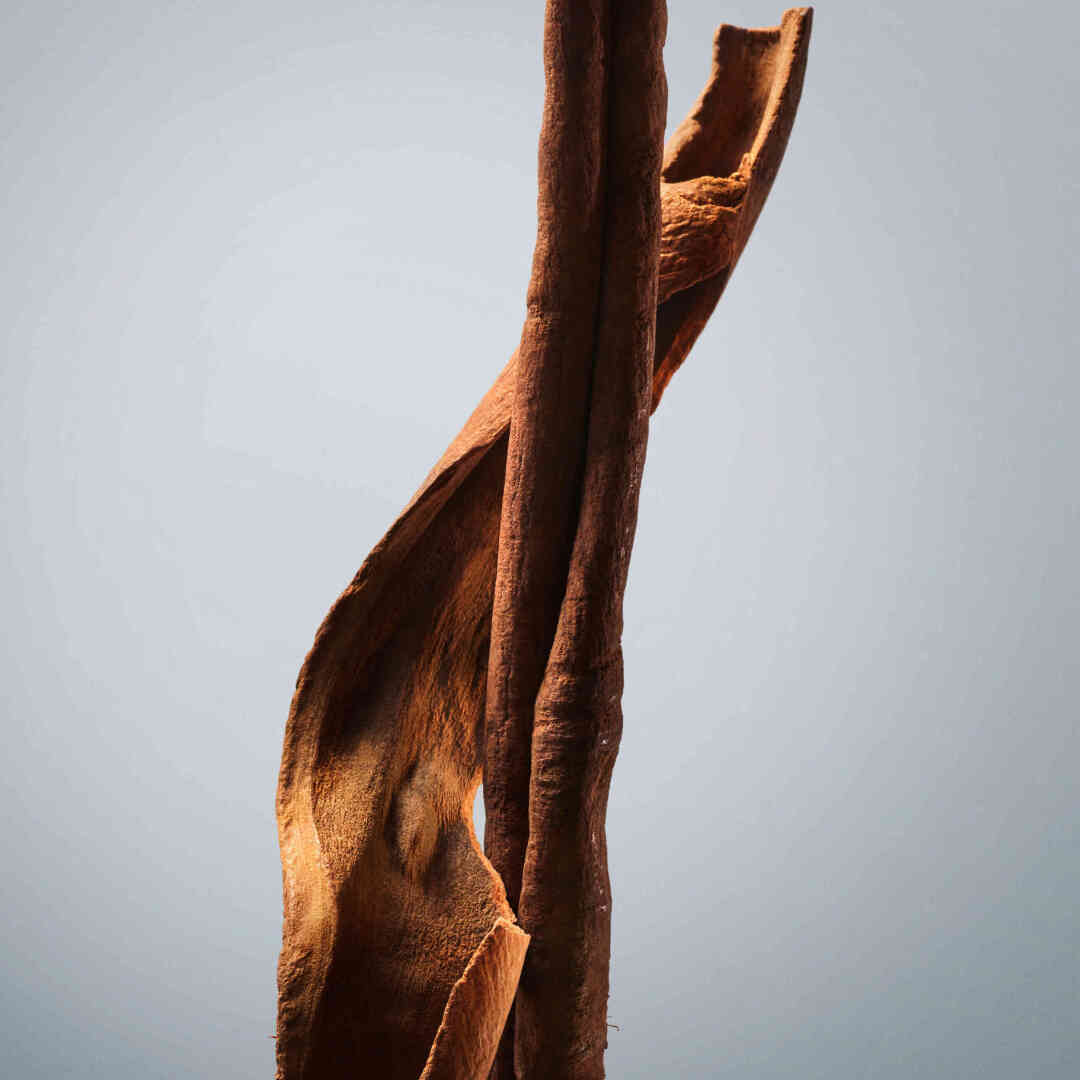 BOSS BOTTLED DEODORANT SPRAY 3