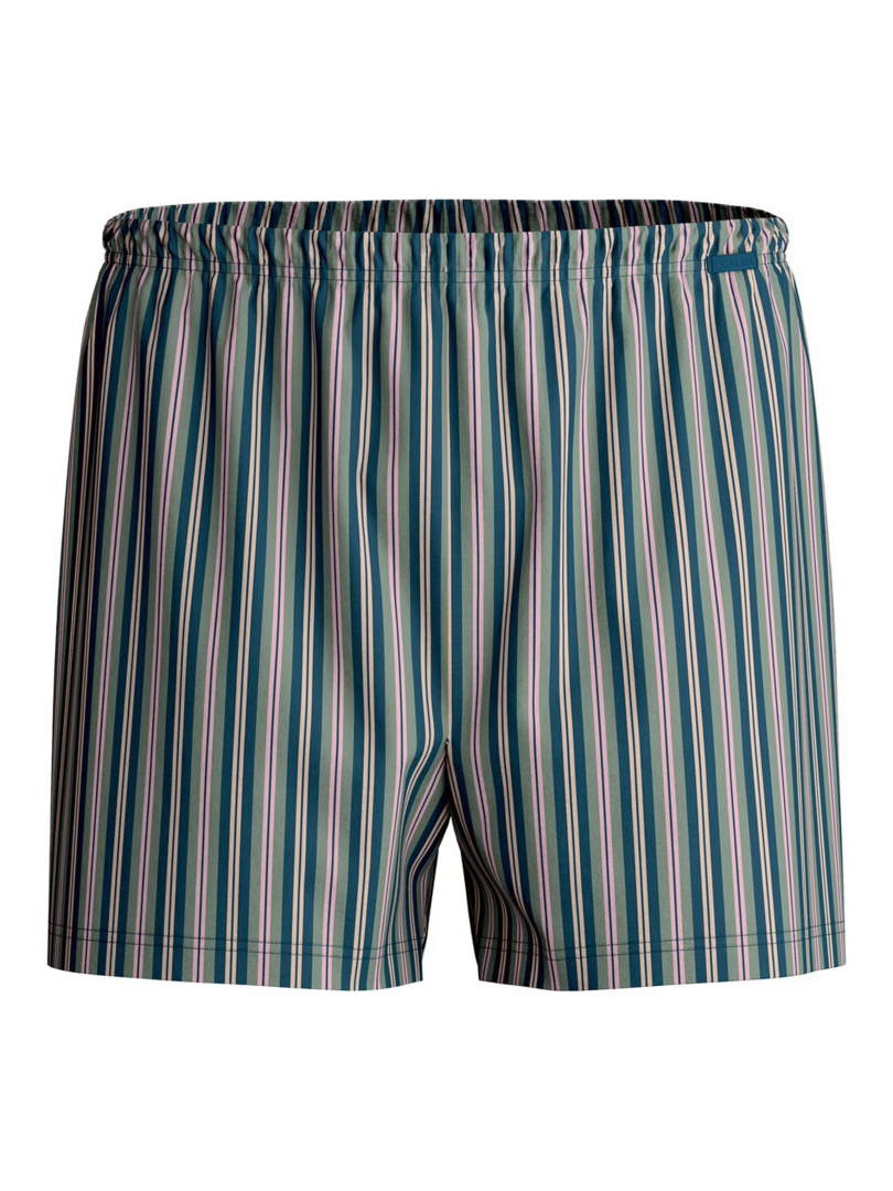 ΑΝΔΡΙΚΟ ΕΣΩΡΟΥΧΟ BOXER  2