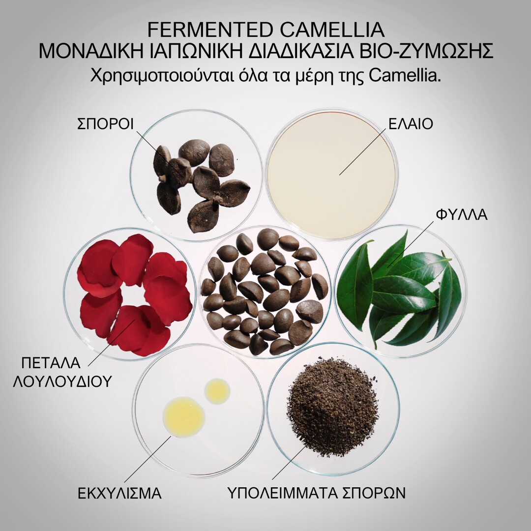 ULTIMUNE POWER INFUSING SERUM REFILL 3