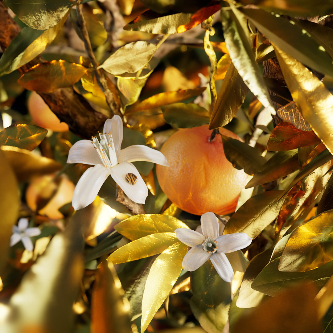 BVLGARI LE GEMME TYGAR EAU DE PARFUM 3