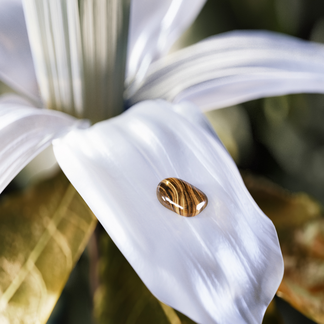 BVLGARI LE GEMME TYGAR EAU DE PARFUM 4