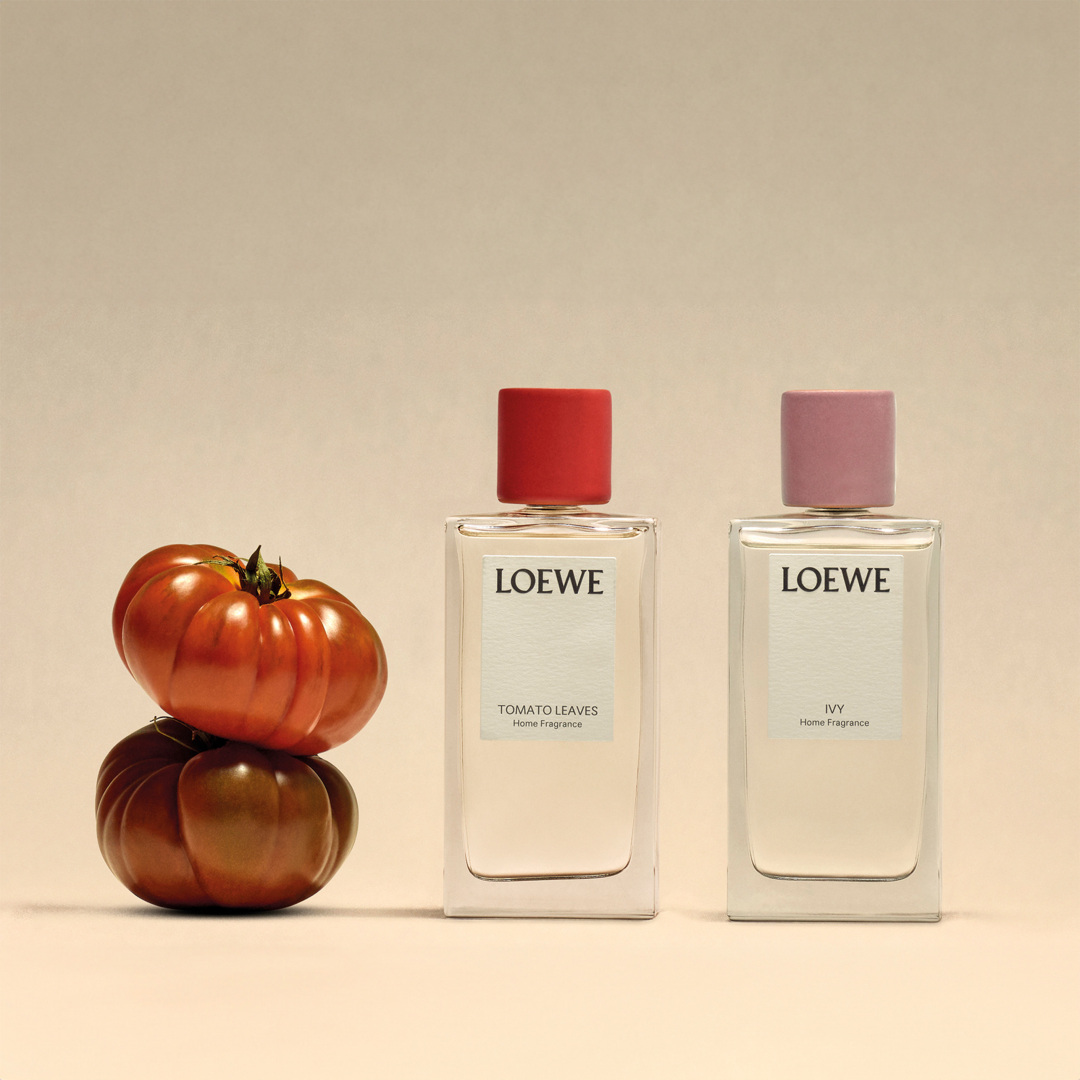 TOMATO LEAVES HOME FRAGRANCE 3