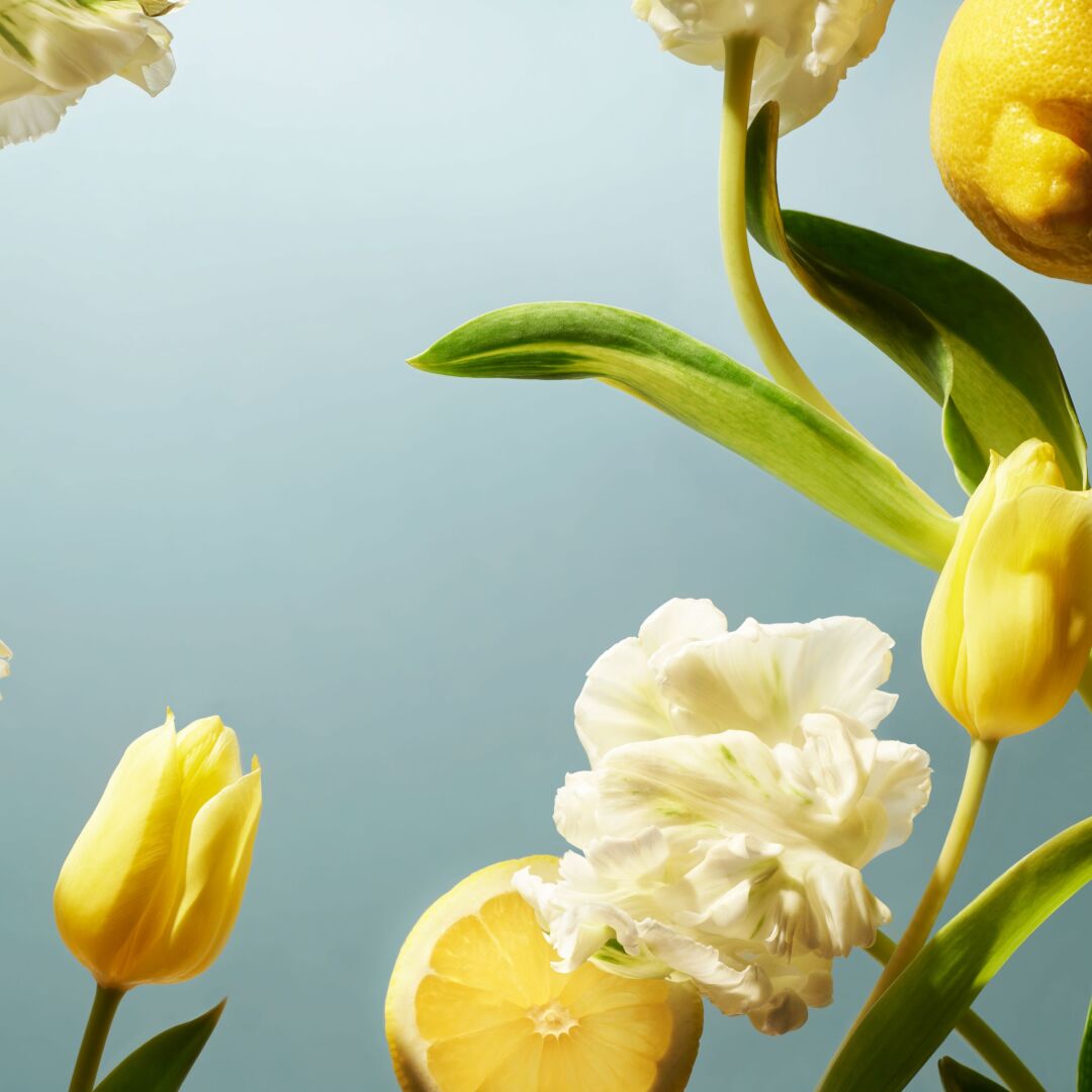 AMSTERDAM COLLECTION SCENTED CANDLE 3