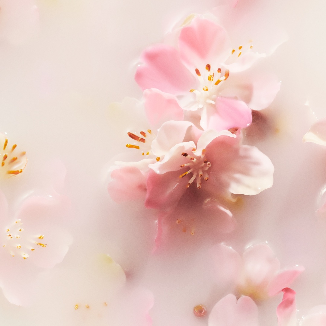 THE RITUAL OF SAKURA HAND WASH CONCENTRATED REFILL 1