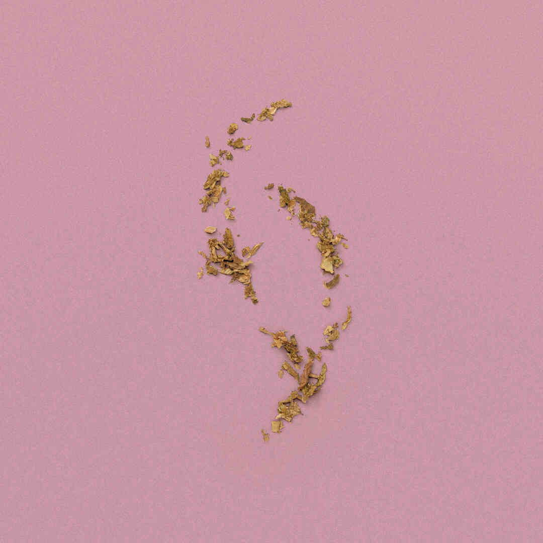 THE ALCHEMIST'S GARDEN A WINTER MELODY ACQUA PROFUMATA EAU DE TOILETTE 5