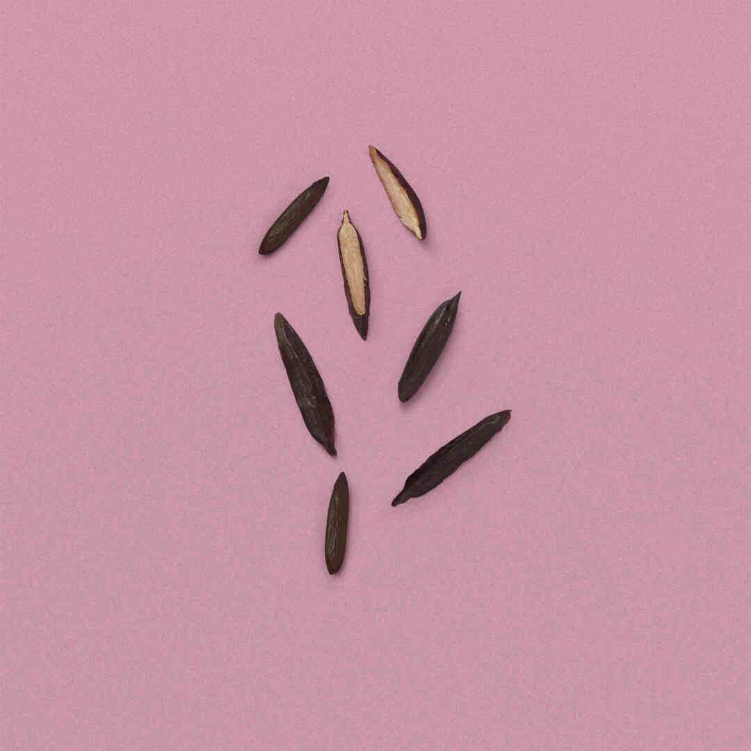 THE ALCHEMIST'S GARDEN MOONLIGHT SERENADE ACQUA PROFUMATA EAU DE TOILETTE 3