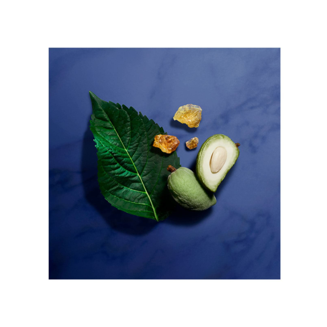 INDIGO TANZANITE EAU DE PARFUM 3