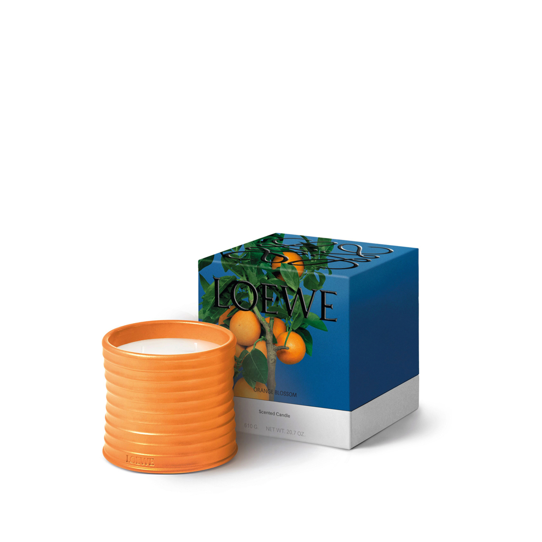 ORANGE BLOSSOM MEDIUM SCENTED CANDLE 1