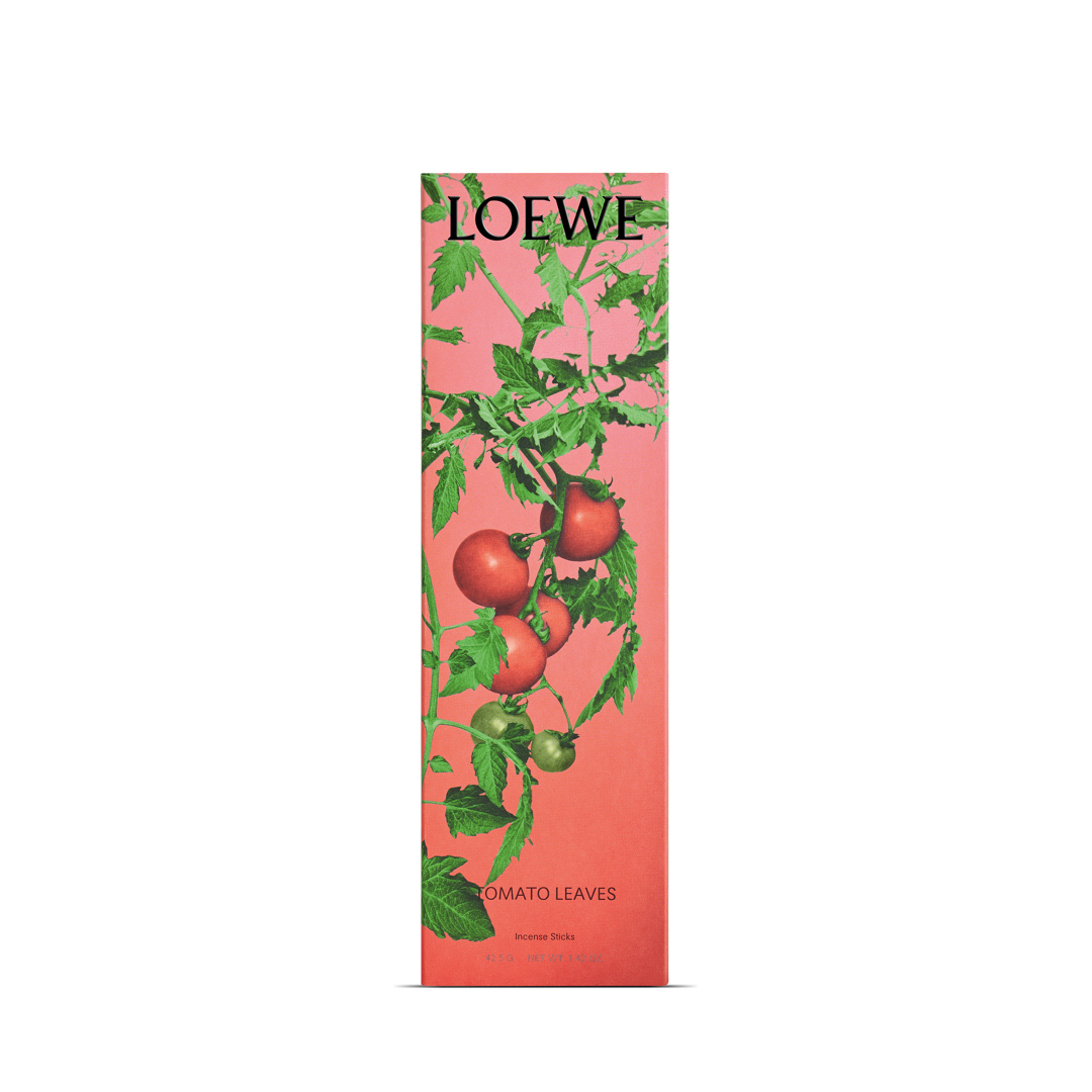 LOEWE TOMATO LEAVES INCIENSO REFILL 1