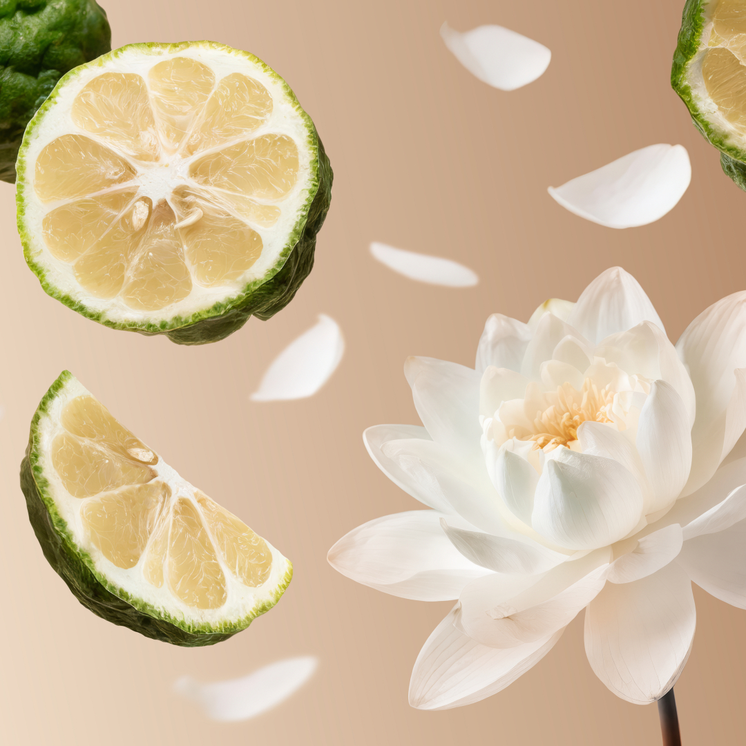 THE ICONIC COLLECTION SOLEIL D'OR - TRAVEL 1