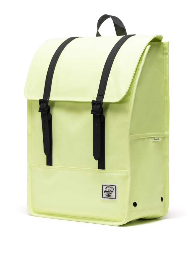 ΣΑΚΙΔΙΟ ΠΛΑΤΗΣ SURVEY 2