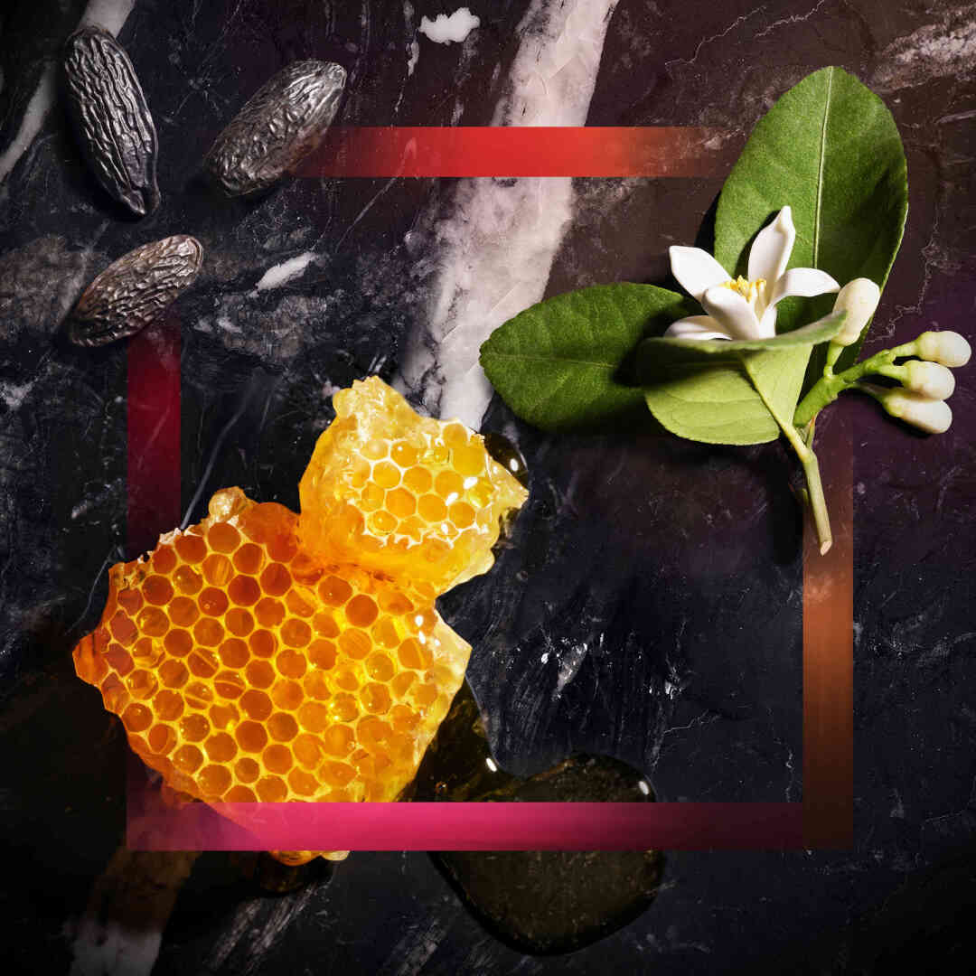 JOOP! HOMME EAU DE TOILETTE 4