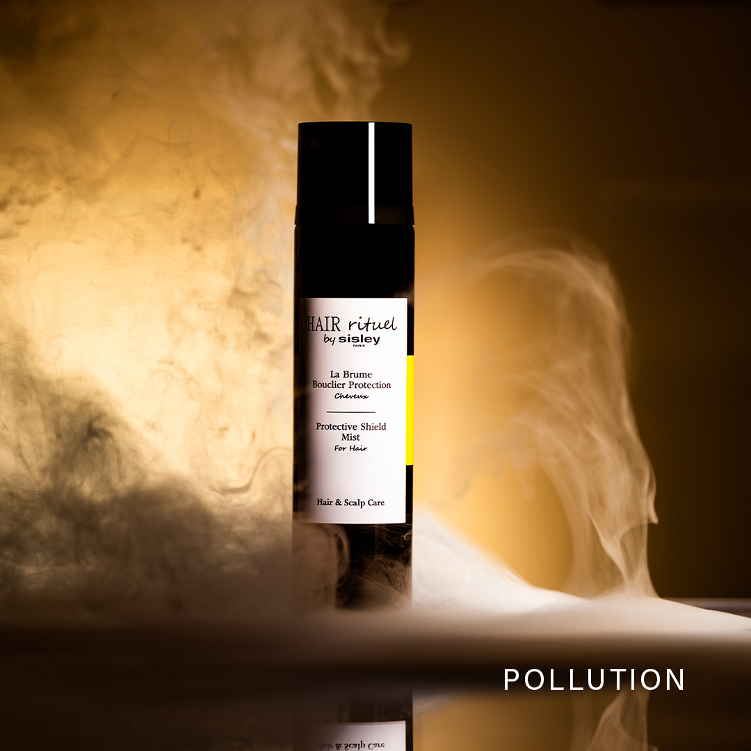 PROTECTIVE SHIELD MIST 1