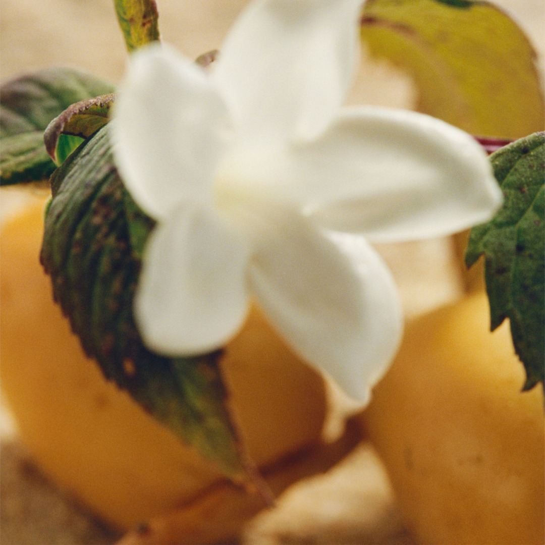 CHLOE NOMADE JASMIN NATUREL EAU DE PARFUM INTENSE 3