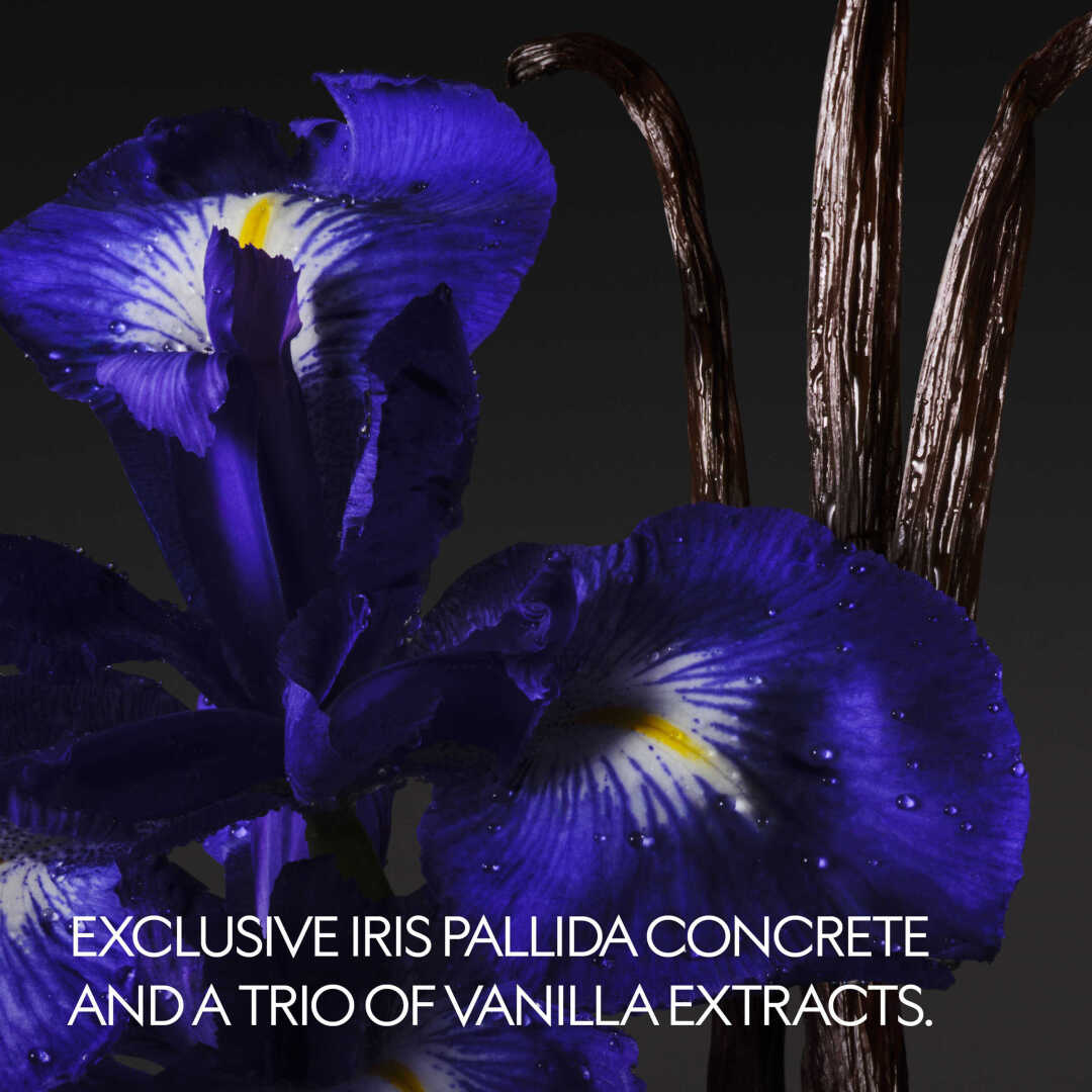 THE ALCHEMIST'S GARDEN VANILLA FIRENZE EAU DE PARFUM 2