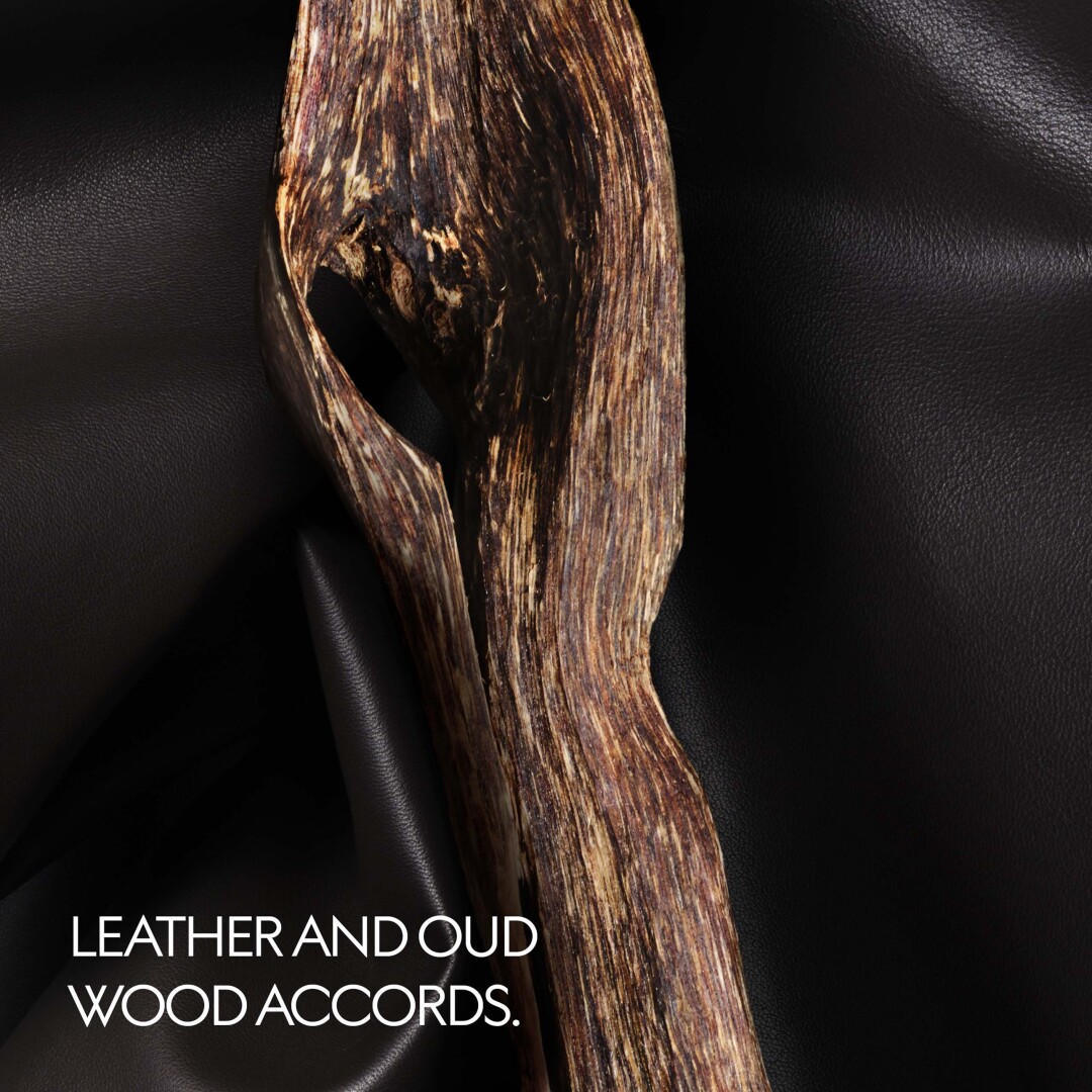 THE ALCHEMIST'S GARDEN THE VOICE OF THE SNAKE EAU DE PARFUM 3