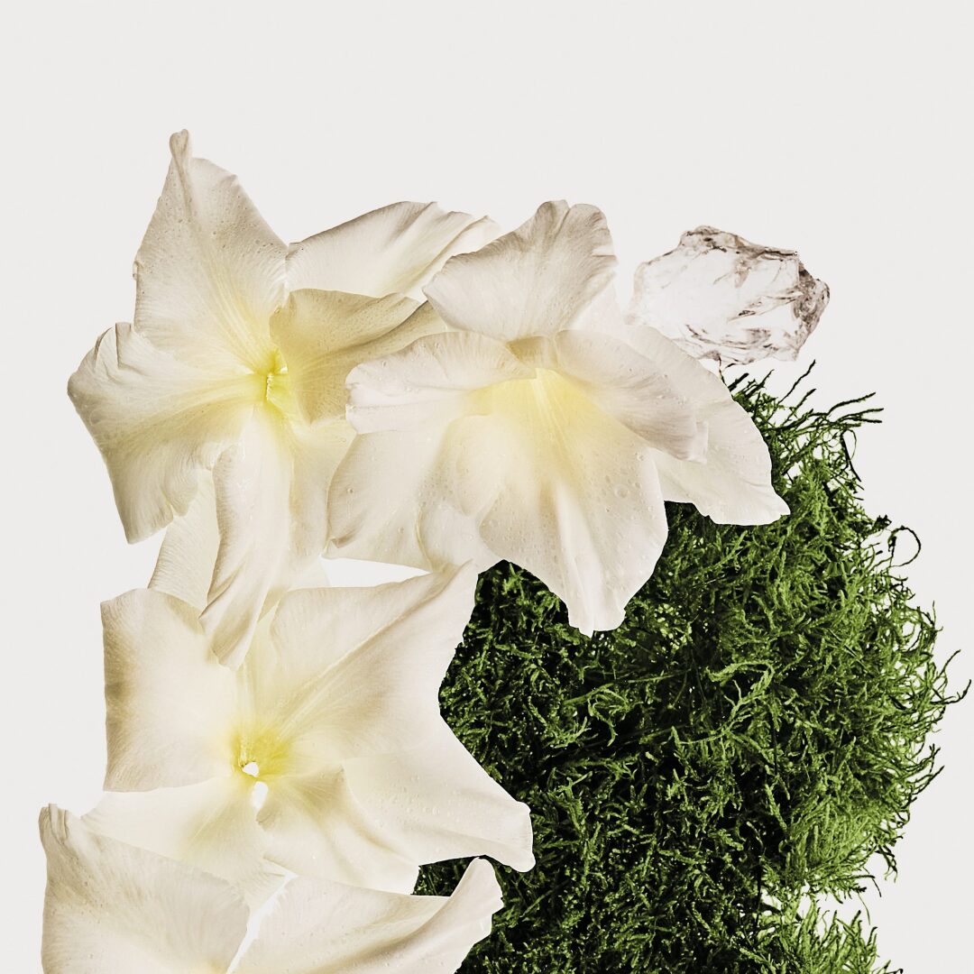 CK COTTON MUSK UNISEX HAIR & BODY PERFUME MIST 1