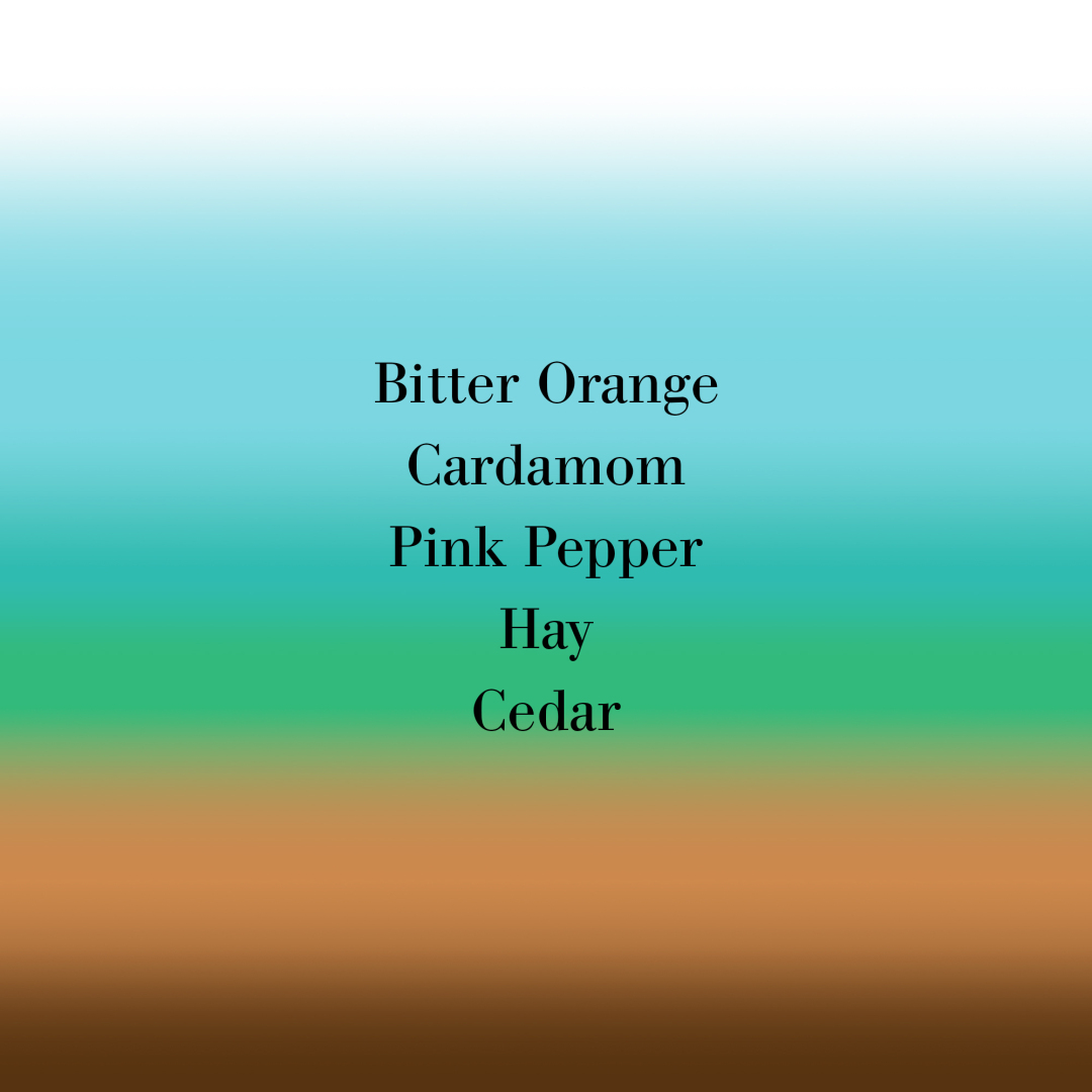 BIGARADE CONCENTREE PERFUME 2