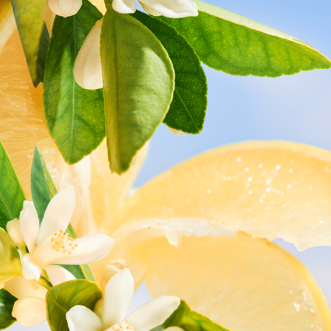 BVLGARI ALLEGRA RIVA SOLARE EAU DE PARFUM  2