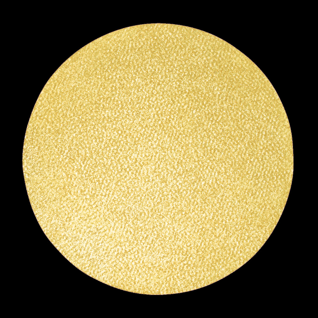 CHIC MONO EYESHADOW SHIMMER 4