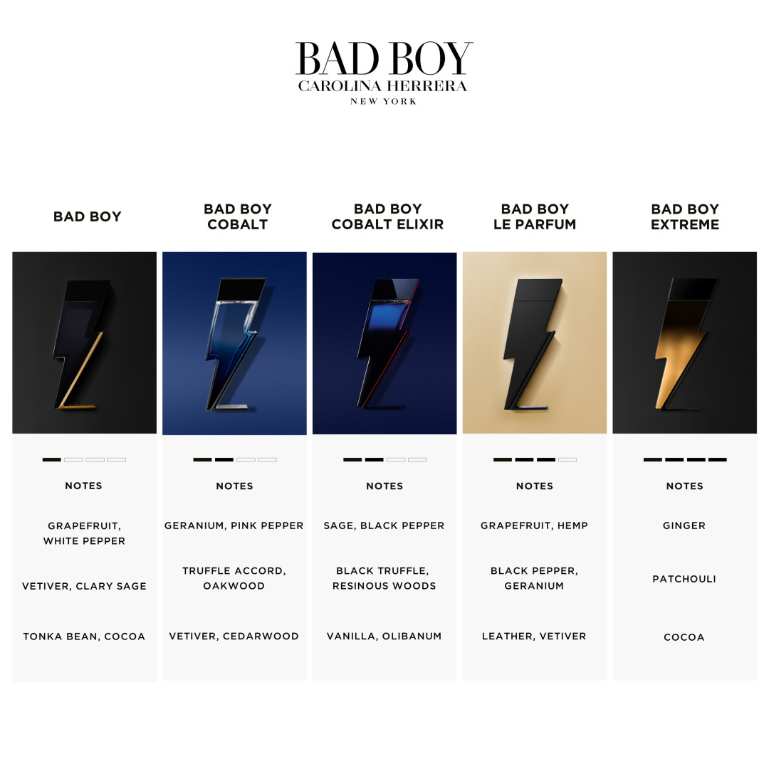 BAD BOY COBALT ELIXIR EAU DE PARFUM 4