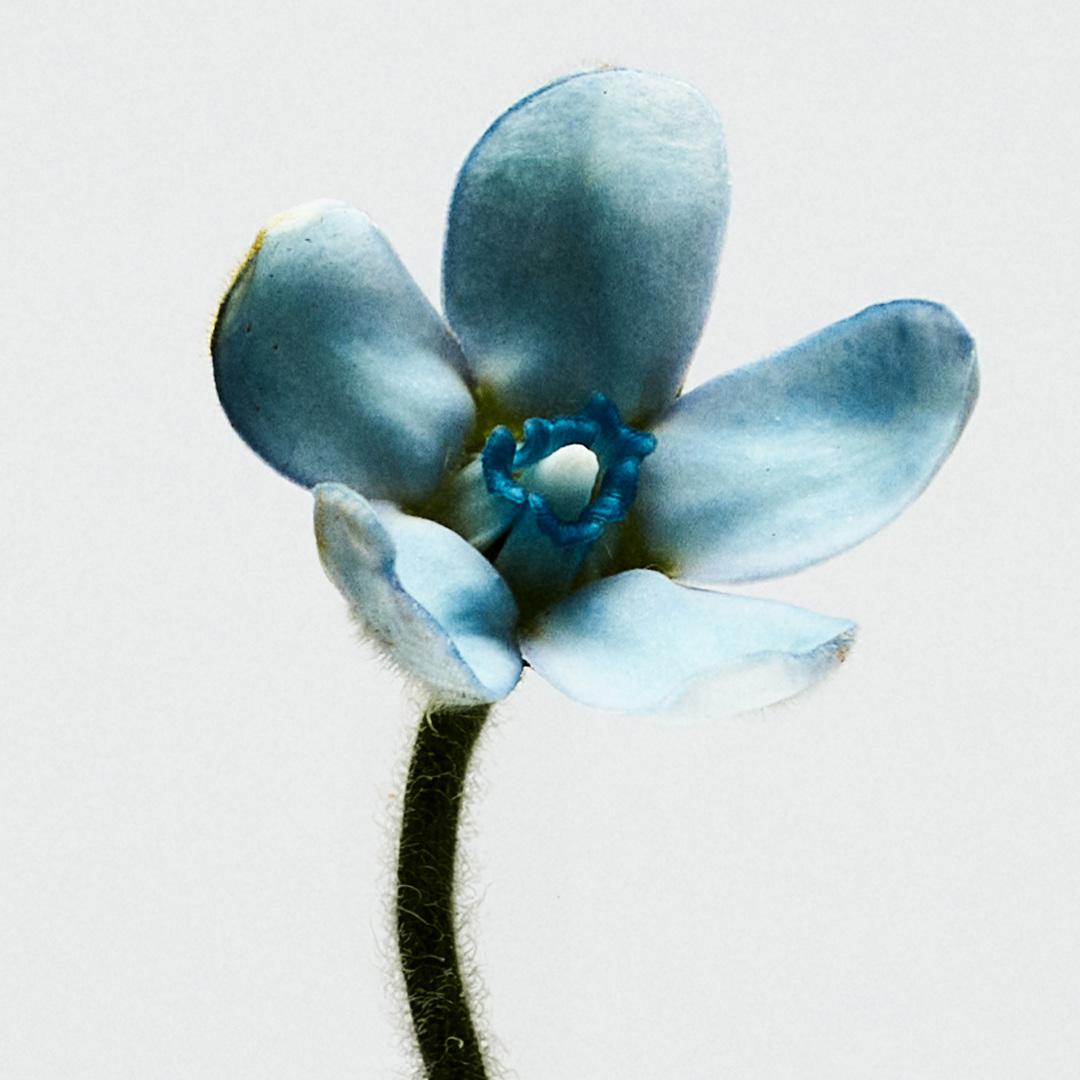 LOEWE 001 WOMAN EAU DE TOILETTE 2