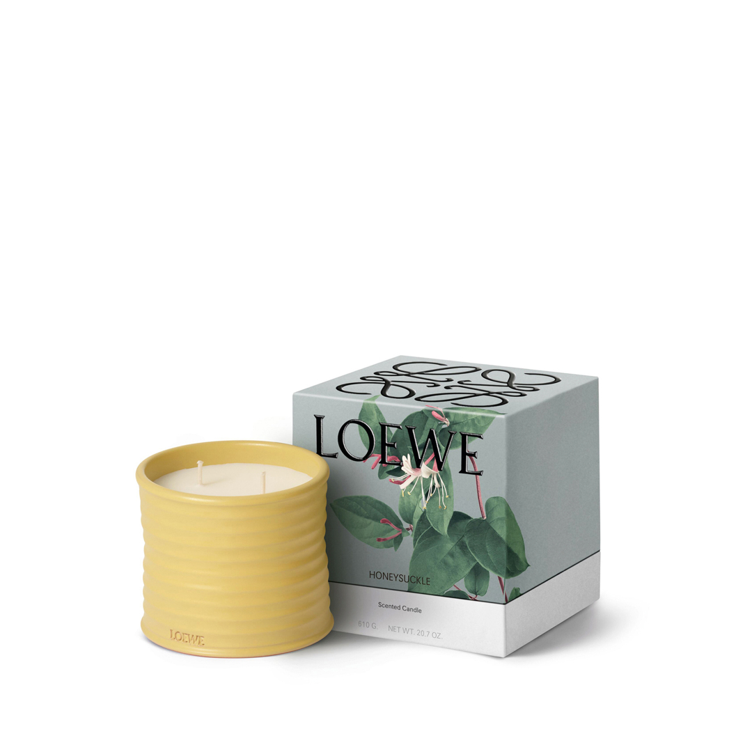 HONEYSUCKLE MEDIUM SCENTED CANDLE 1