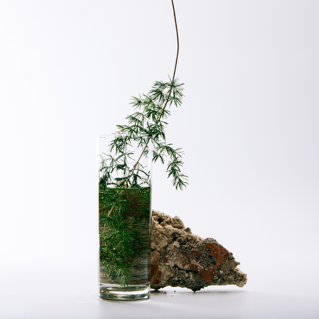 LOEWE SOLO CEDRO EAU DE TOILETTE 2