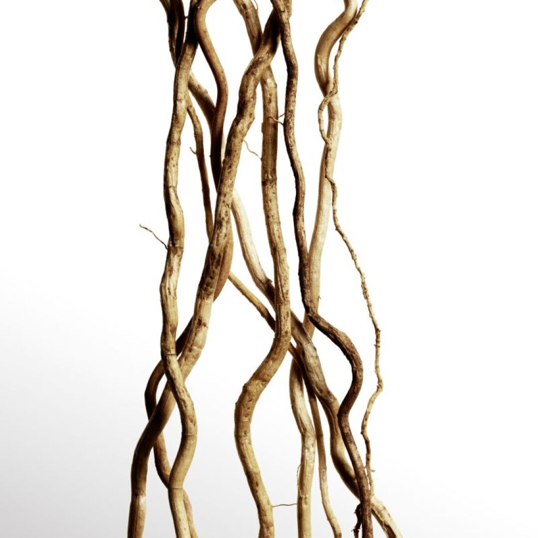  COOLWATER PARFUM MAN 3