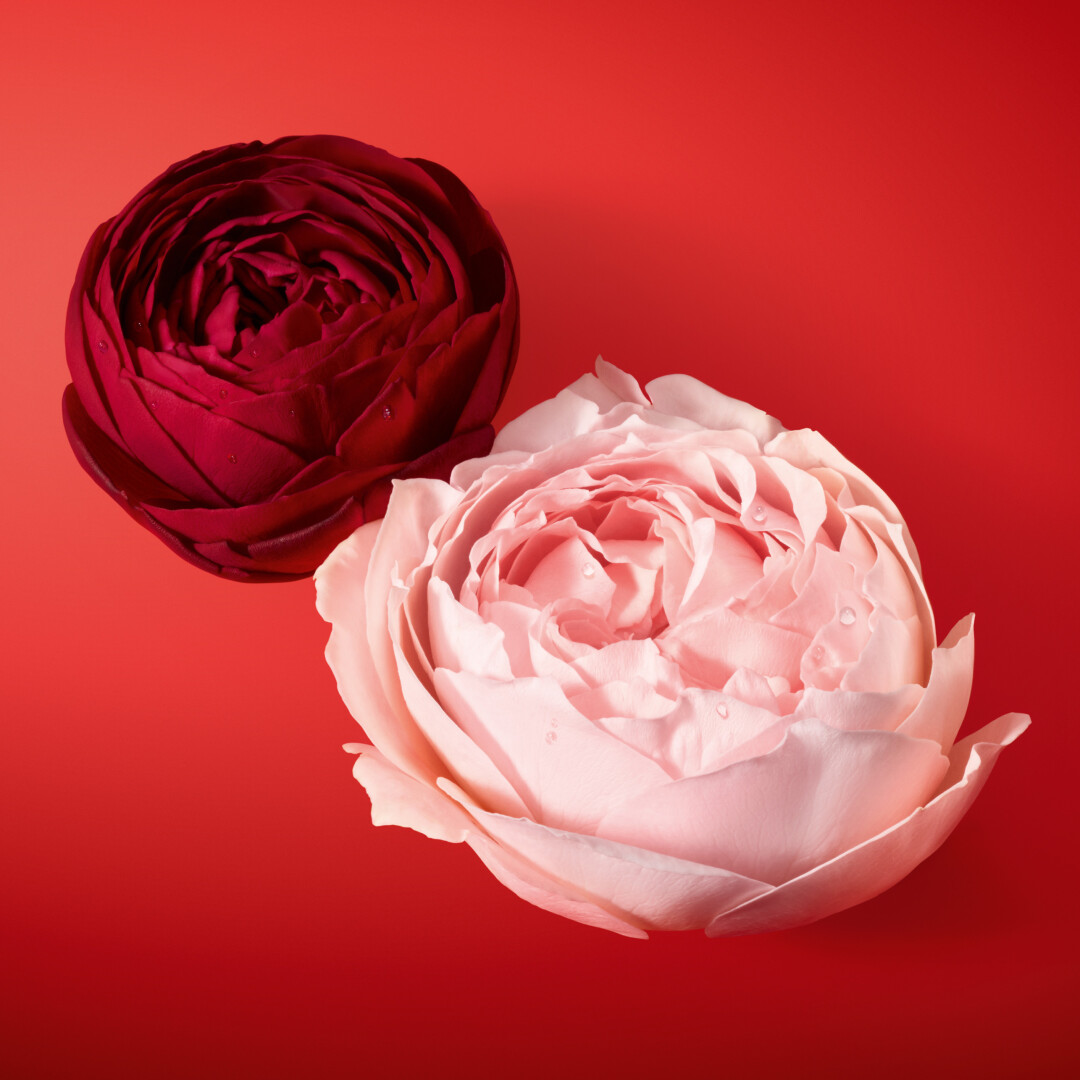 SÌ PASSIONE ÉCLAT DE PARFUM 5