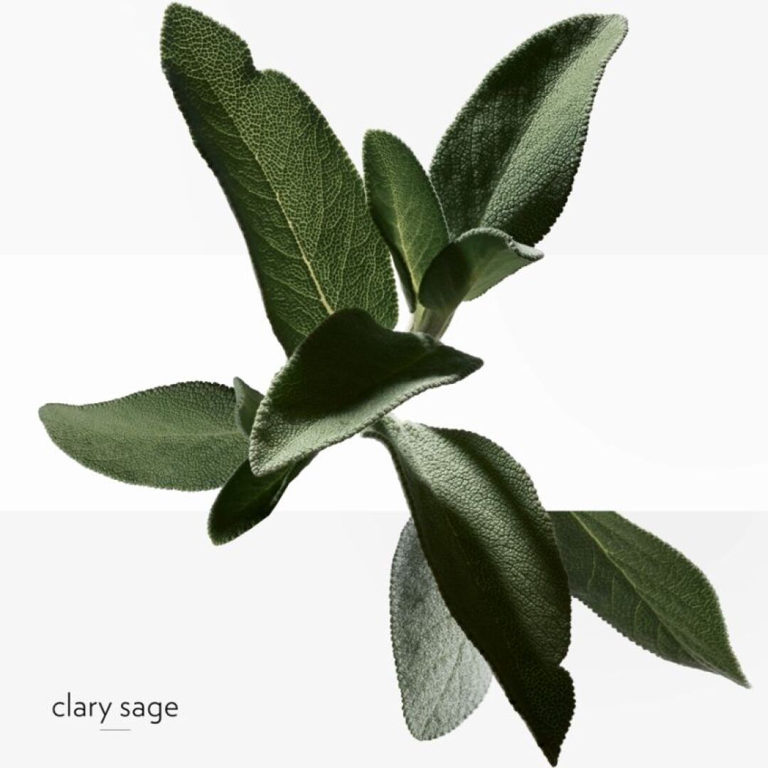 H24 EAU DE TOILETTE 5