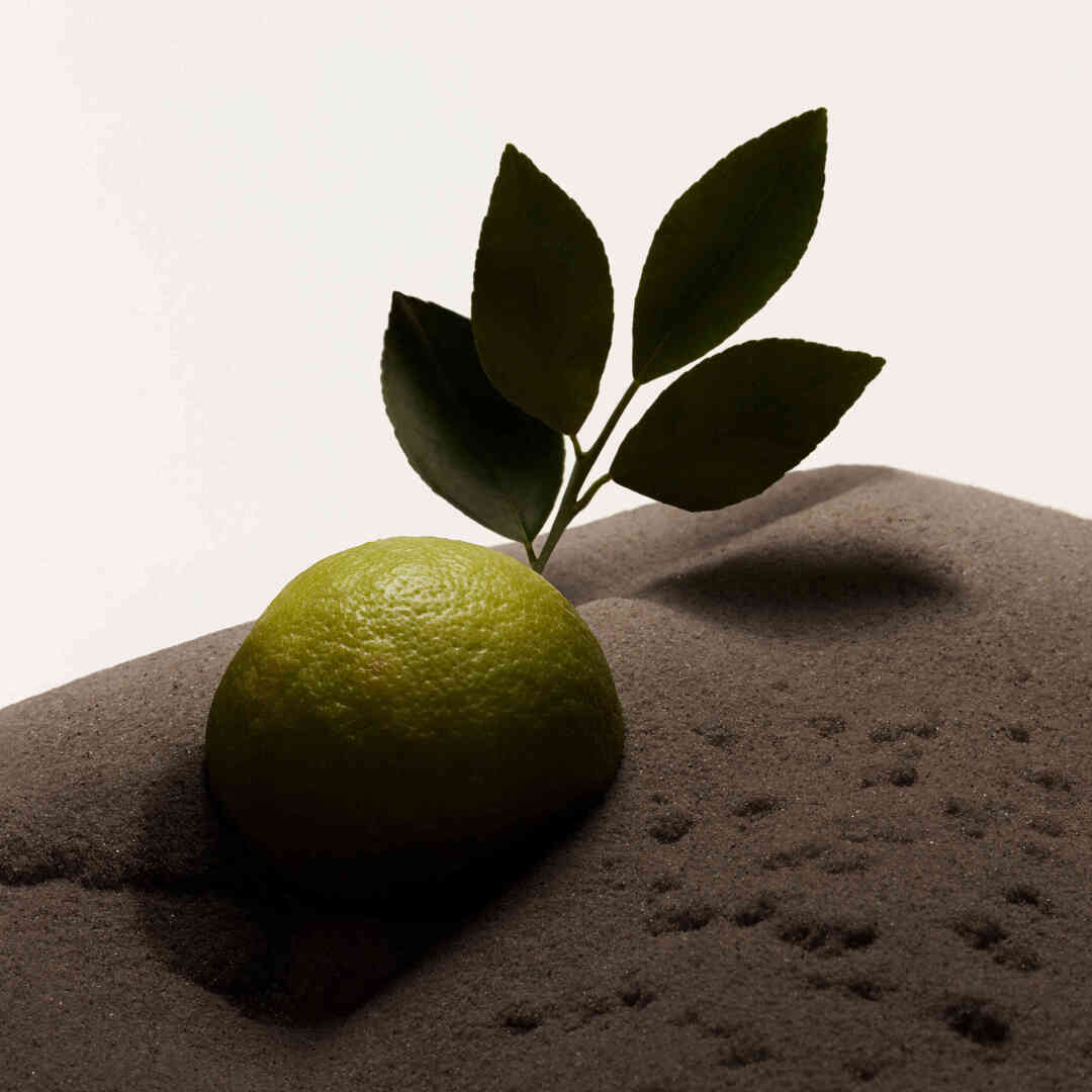 BURBERRY HERO EAU DE TOILETTE MEN 7