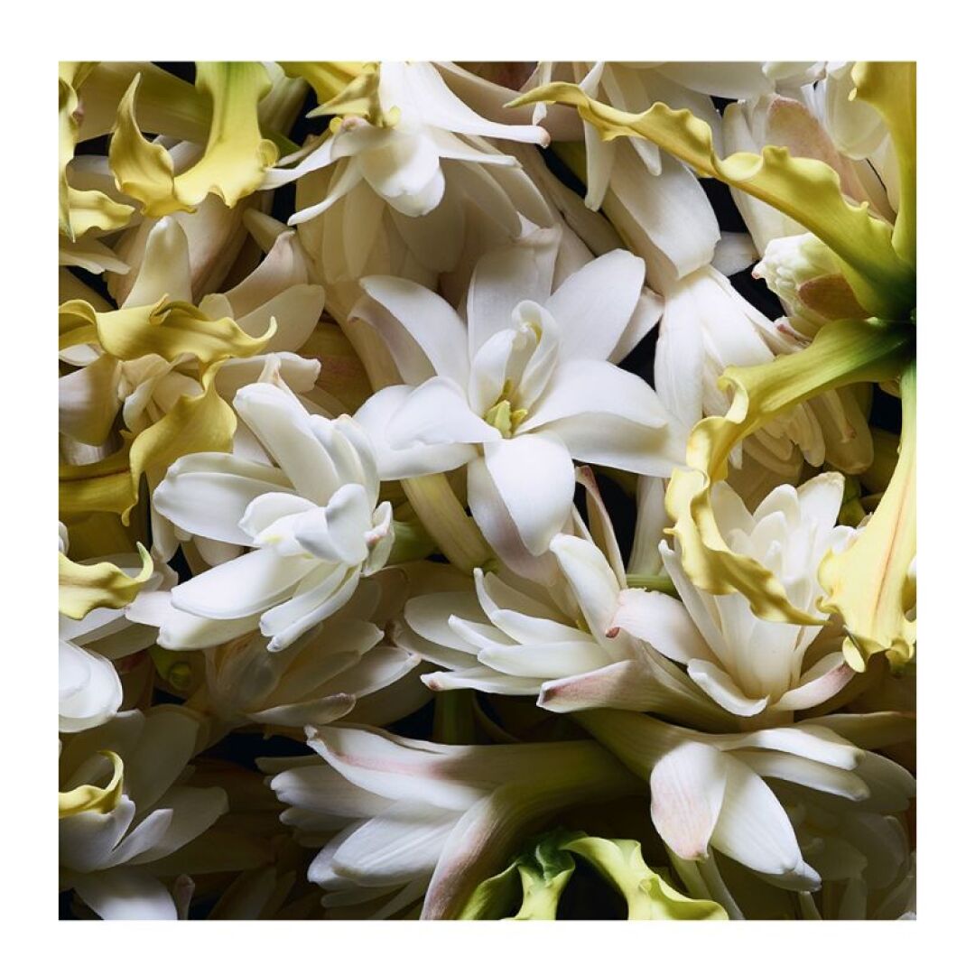 LE VESTIAIRE DES PARFUMS COLLECTION ORIENTALE SUPREME BOUQUET EAU DE PARFUM 2