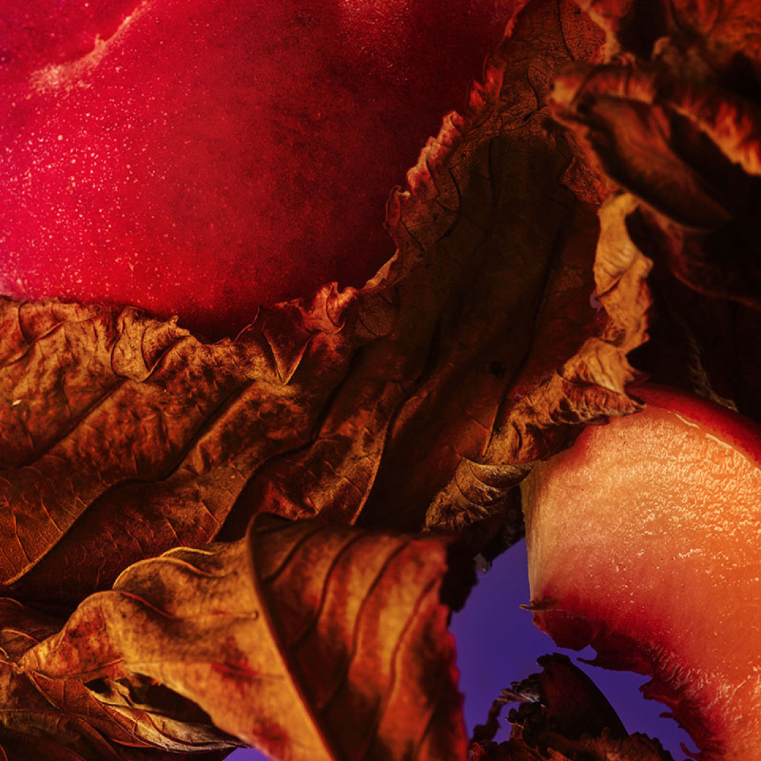 BVLGARI ALLEGRA FANTASIA VENETA EAU DE PARFUM  3