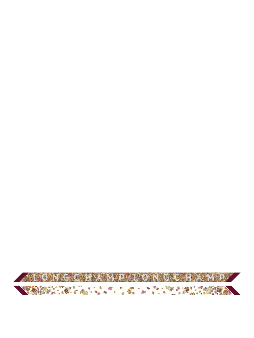 ΓΥΝΑΙΚΕΙΟ ΜΕΤΑΞΩΤΟ ΦΟΥΛΑΡΙ FRISE FLEURIE HEADBAND 0