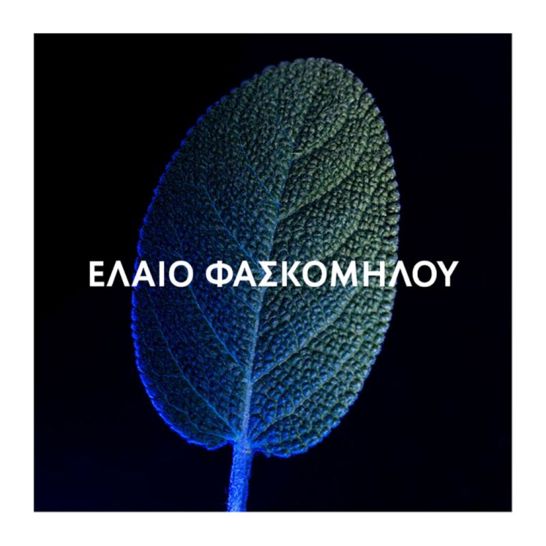 Y EAU DE PARFUM 14