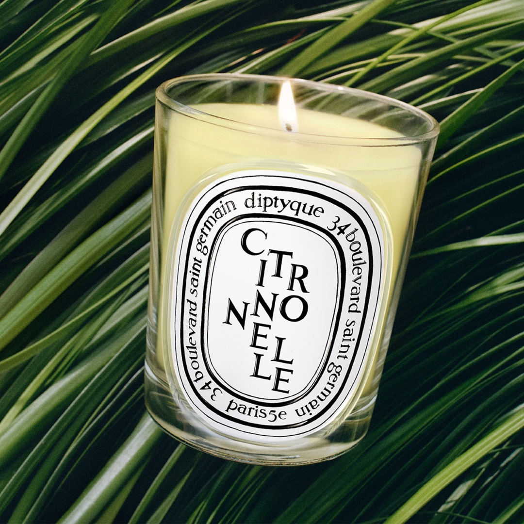 CITRONNELLE SCENTED CANDLE 1