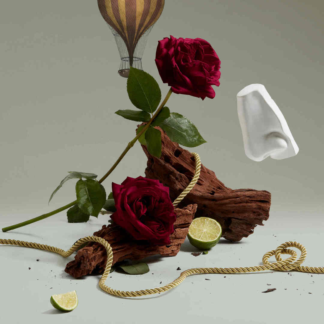 HALFETI EAU DE PARFUM 2