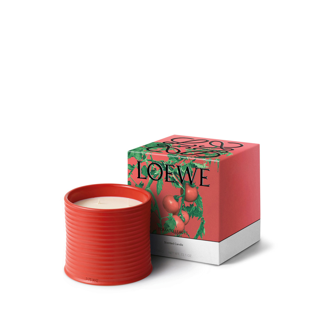 TOMATO LARGE SCENTED CANDLE 1