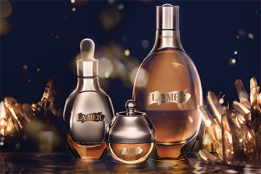 GENAISSANCE DE LA MER