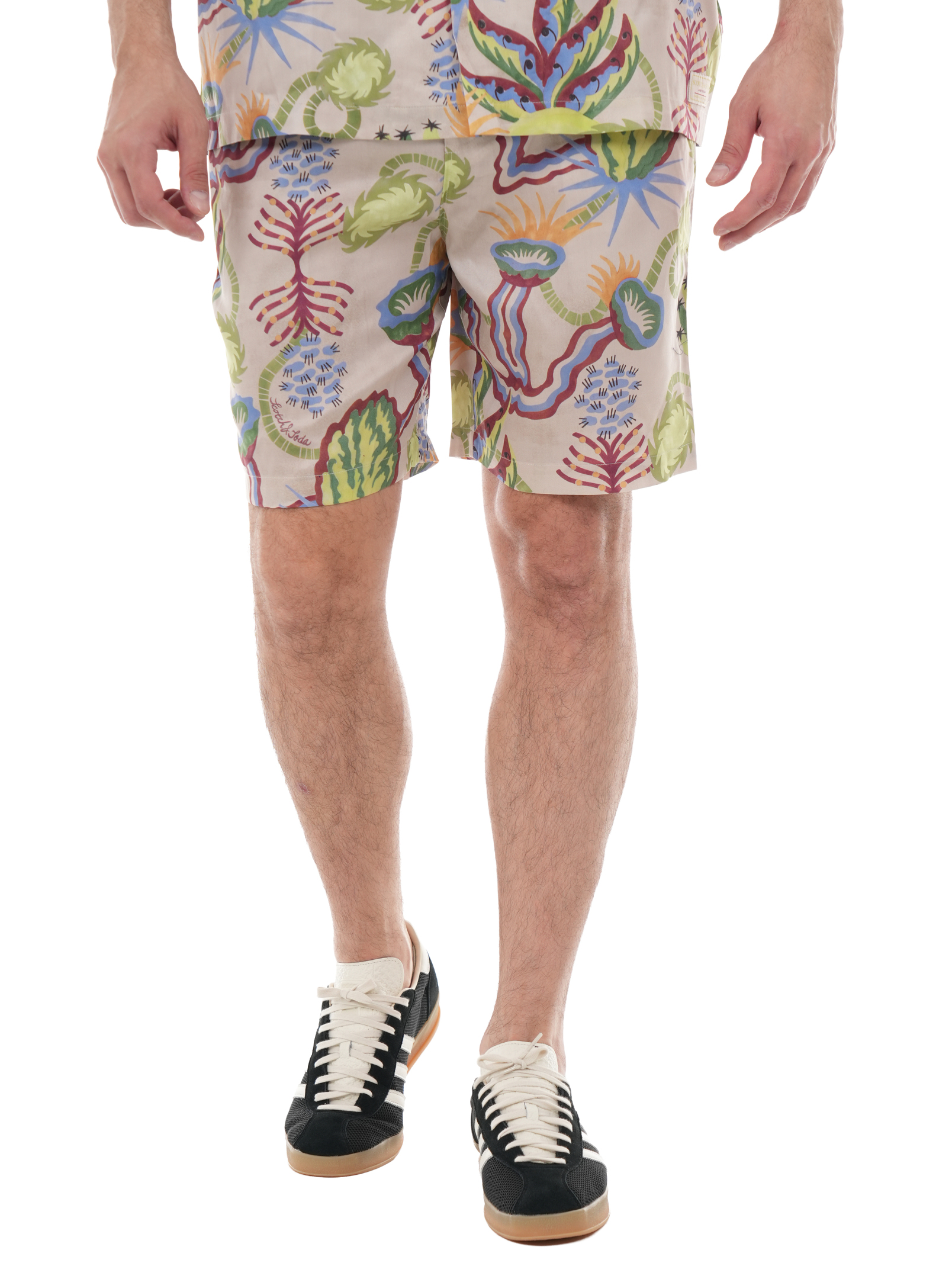 ΑΝΔΡΙΚΗ ΒΕΡΜΟΥΔΑ 1