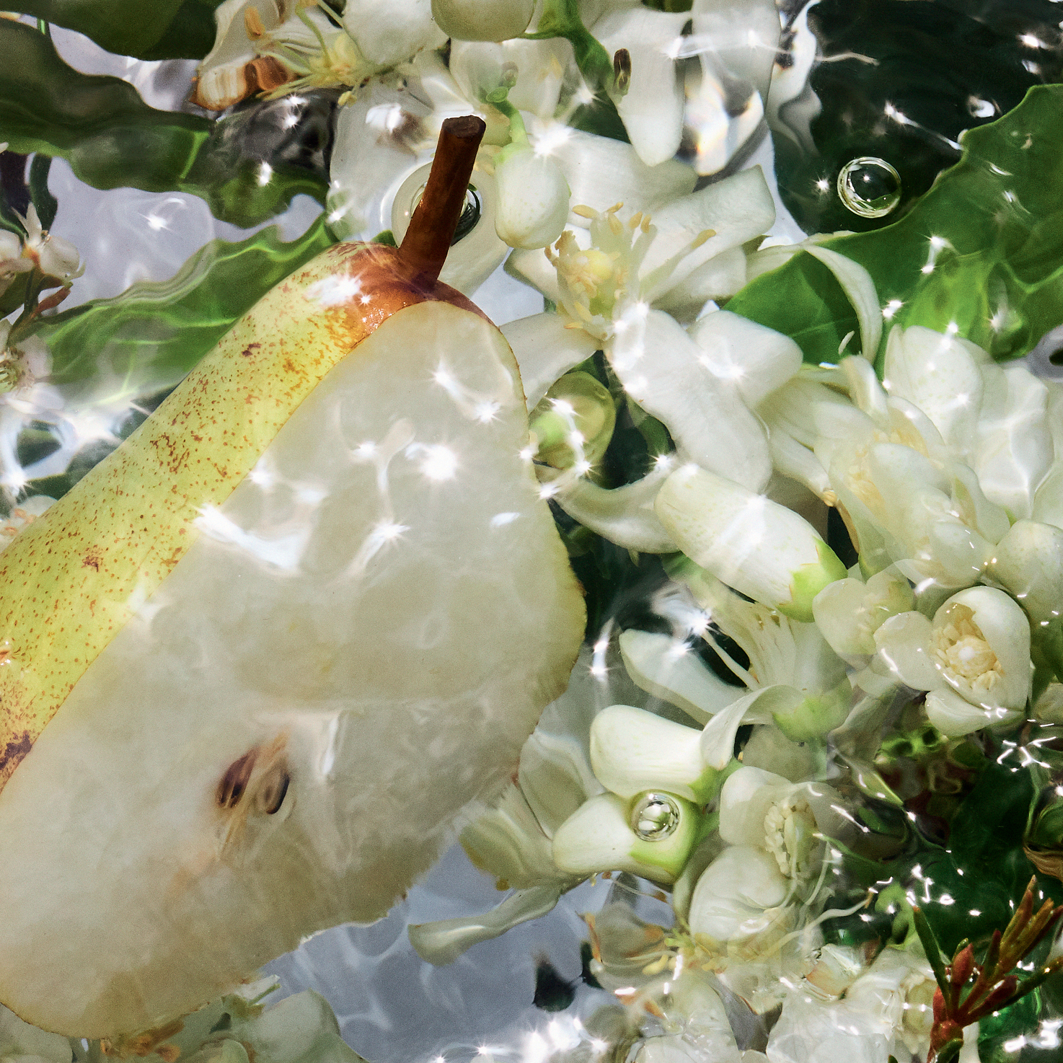 AQUA ALLEGORIA PERA GRANITA  EAU DE TOILETTE  3