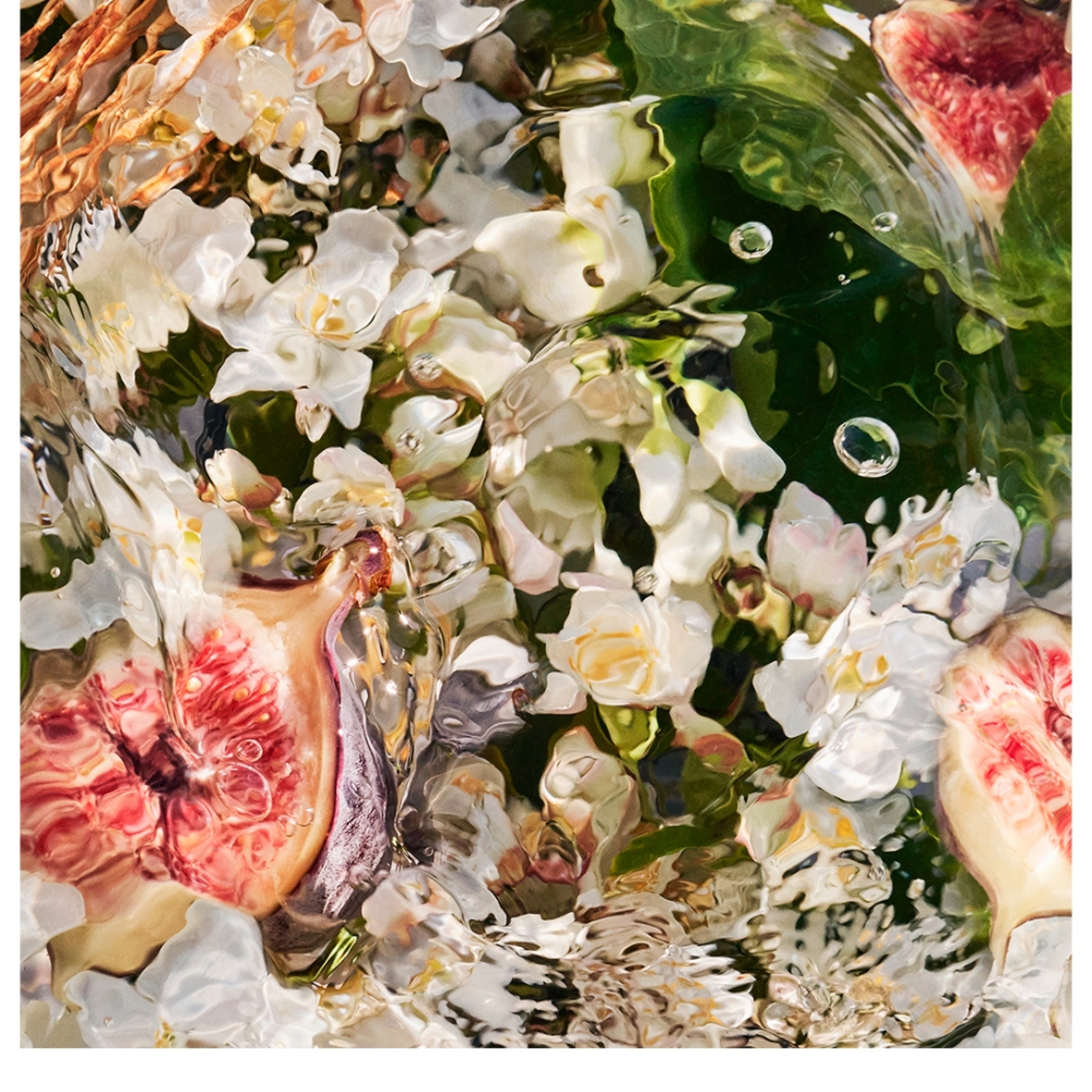 AQUA ALLEGORIA NEROLIA VETIVER EAU DE TOILETTE REFILL 3